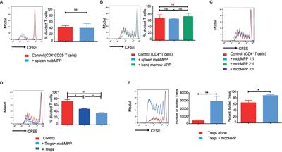 Mobilized Multipotent Hematopoietic Progenitors Promote Expansion and Survival of Allogeneic Tregs and Protect Against Graft Versus Host Disease